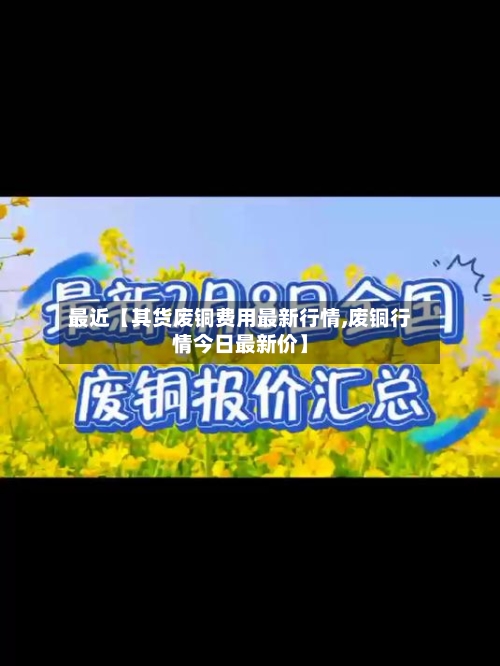 最近【其货废铜费用最新行情,废铜行情今日最新价】-第2张图片
