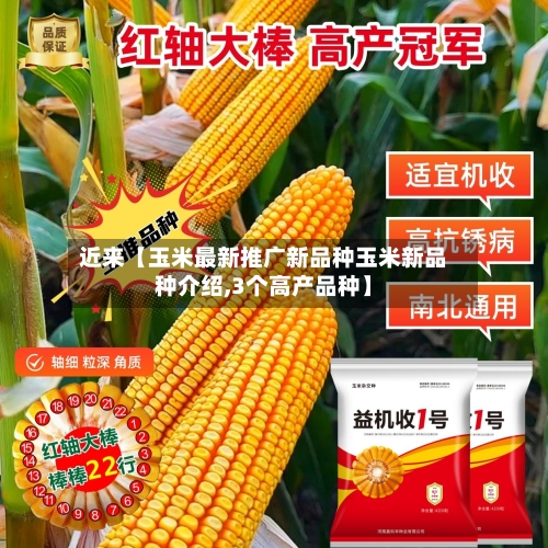 近来【玉米最新推广新品种玉米新品种介绍,3个高产品种】-第3张图片