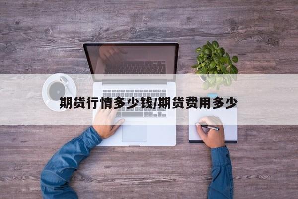期货行情多少钱/期货费用多少