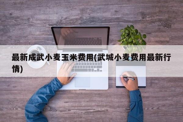 最新成武小麦玉米费用(武城小麦费用最新行情)