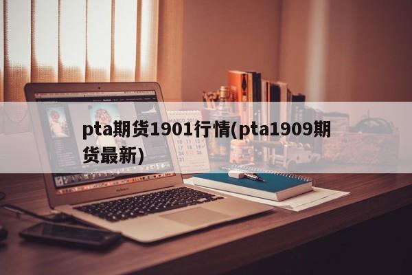 pta期货1901行情(pta1909期货最新)