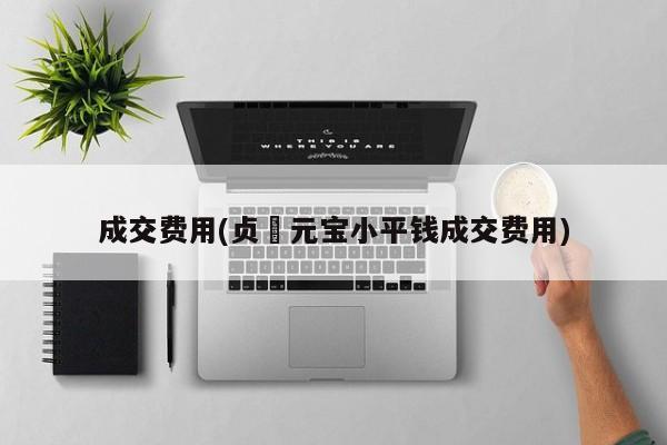 成交费用(贞祐元宝小平钱成交费用)
