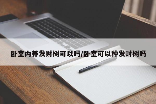 卧室内养发财树可以吗/卧室可以种发财树吗