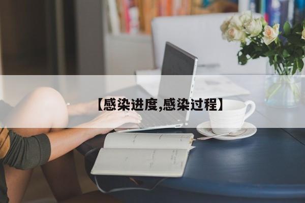 【感染进度,感染过程】