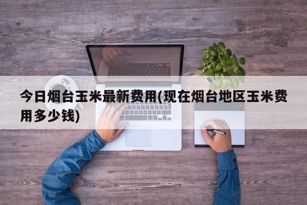 今日烟台玉米最新费用(现在烟台地区玉米费用多少钱)