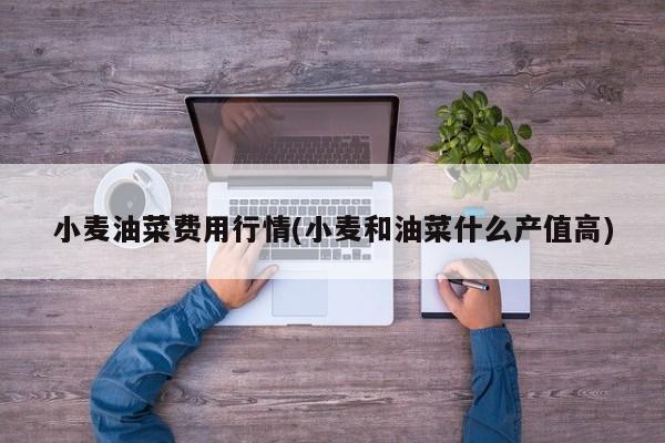 小麦油菜费用行情(小麦和油菜什么产值高)