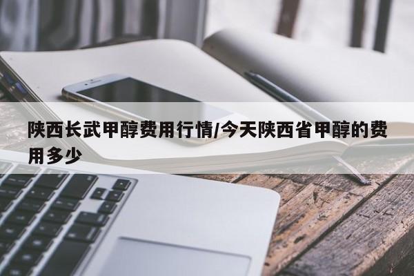 陕西长武甲醇费用行情/今天陕西省甲醇的费用多少