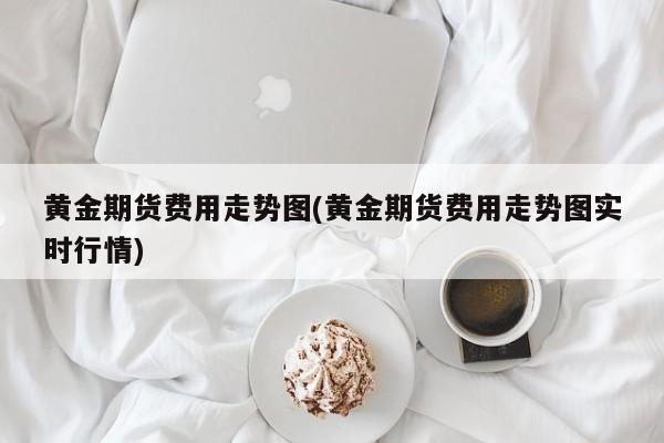 黄金期货费用走势图(黄金期货费用走势图实时行情)