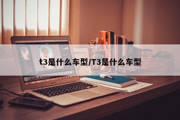 t3是什么车型/T3是什么车型