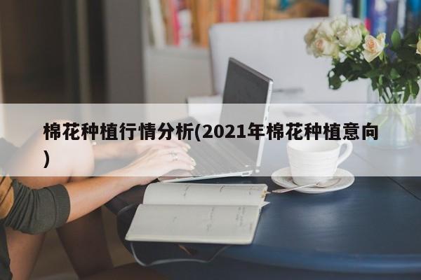 棉花种植行情分析(2021年棉花种植意向)