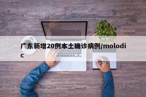 广东新增20例本土确诊病例/molodic
