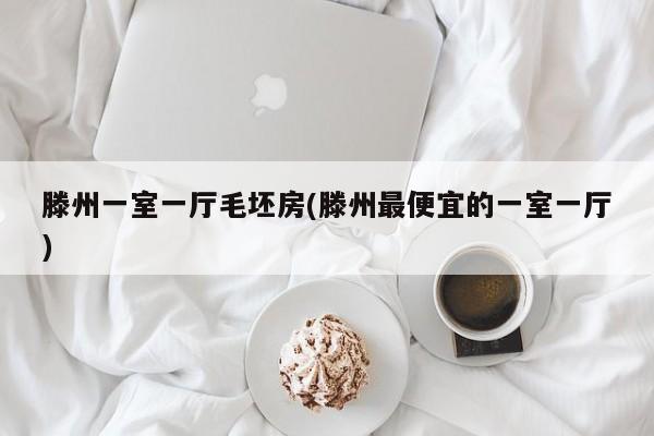 滕州一室一厅毛坯房(滕州最便宜的一室一厅)