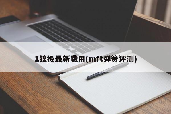 1镍极最新费用(mft弹簧评测)