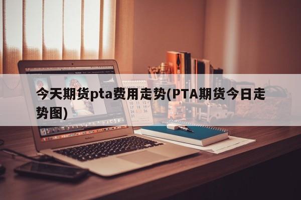 今天期货pta费用走势(PTA期货今日走势图)