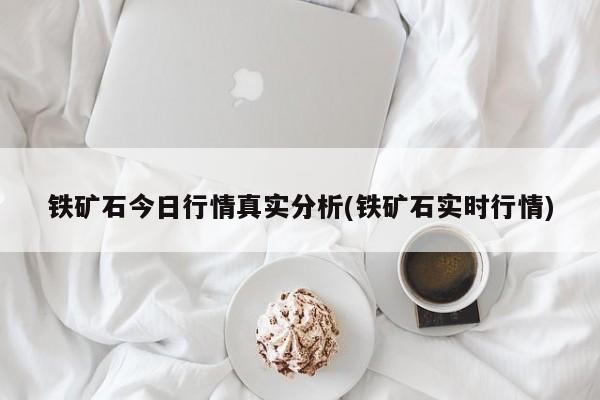 铁矿石今日行情真实分析(铁矿石实时行情)