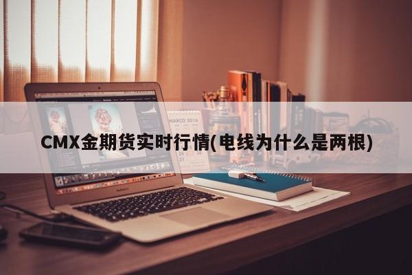 CMX金期货实时行情(电线为什么是两根)