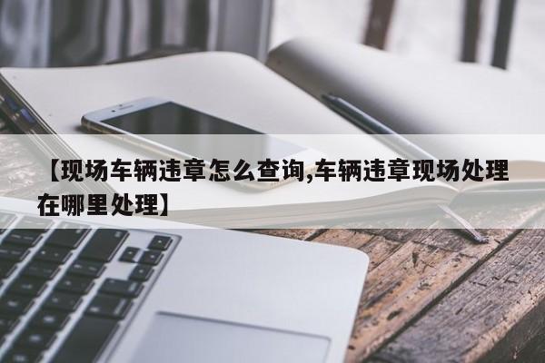 【现场车辆违章怎么查询,车辆违章现场处理在哪里处理】