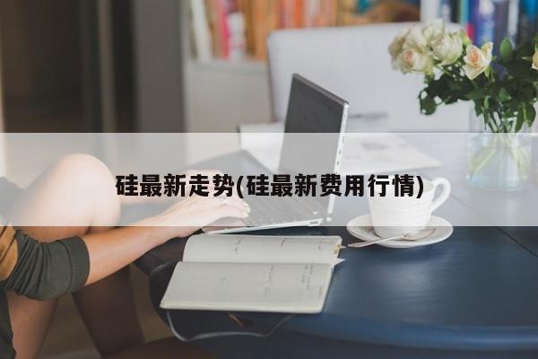 硅最新走势(硅最新费用行情)