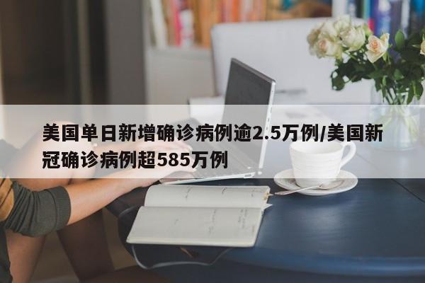 美国单日新增确诊病例逾2.5万例/美国新冠确诊病例超585万例